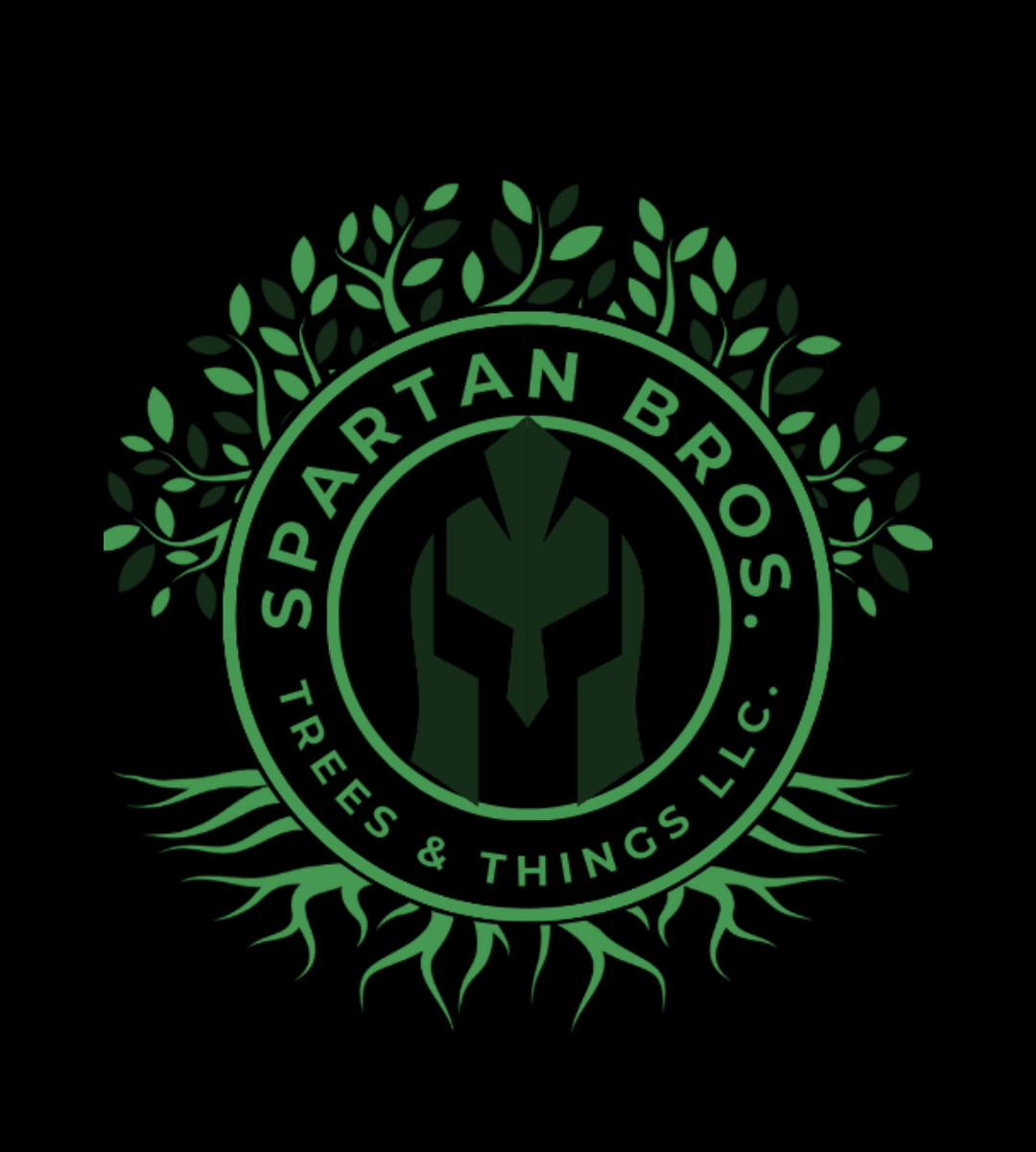 Leading the pack with top-notch professionalism and efficiency in tree removal in Jacksonville, Spartan Bros Trees and Things LLC, Spartan Bros Trees, Spartan Tree Removal, Spartan Bros Tree Care,